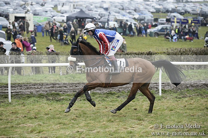 PtP 020418 -107 - Old Berks Point-to-Point Races Easter Monday 02/04/18