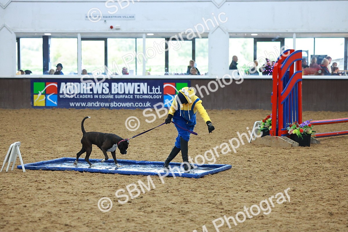 SBM_002260 - Class 3 - Horse & Hound (60cm)