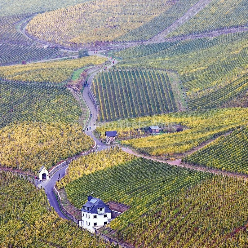  - Vineyards & Vines / Weinberge & Reben