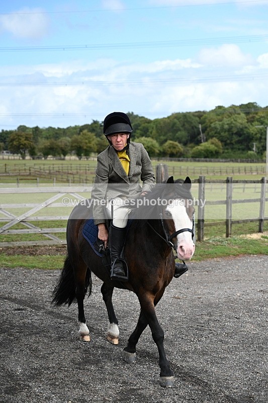 WJ7_6703 - Berks & Bucks at Blandy’s Farm 31-08-25