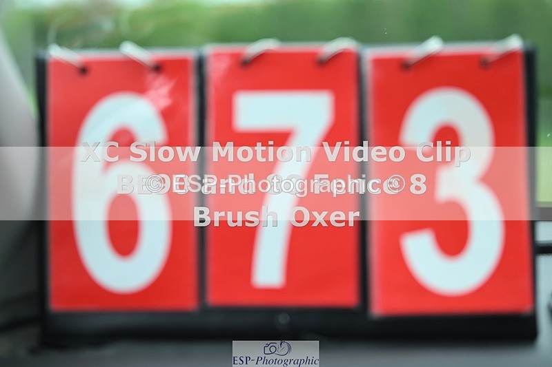 250419-162213-13252 - 673-Sarah.Whitehead-SHAKE.HIM.UP