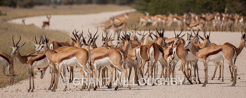  - Namibia