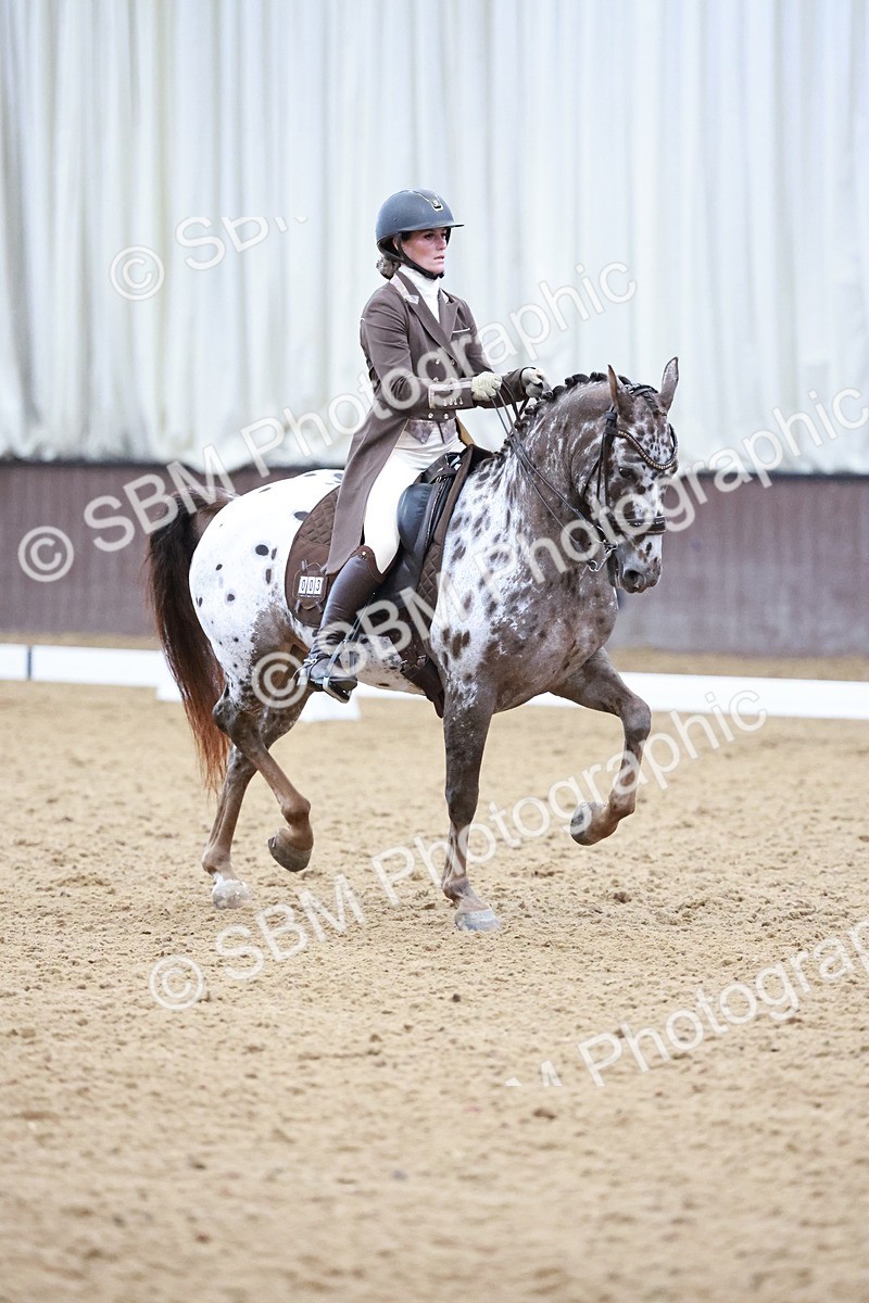 SBM_021406 - Class 14 - FEI Grand Prix - 17.40-18.34