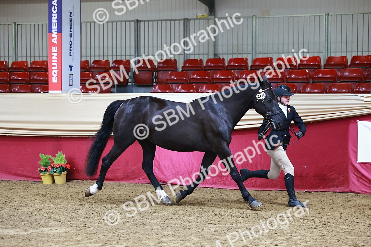 SBM_22241 - Class 902 - Supreme Final - IH Diamond