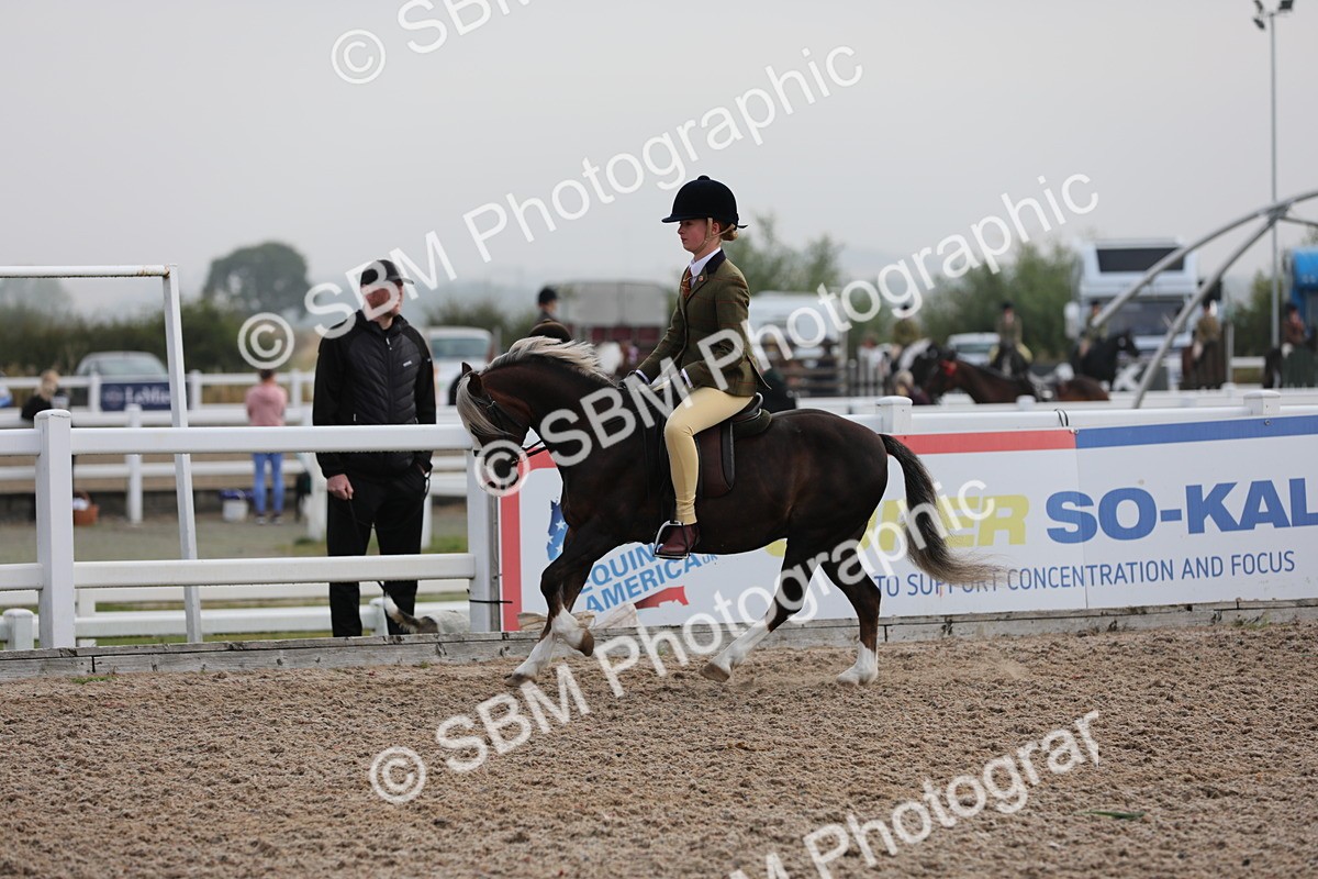 SBM_09628 - Class 301 Ridden M&M -Small Breeds
