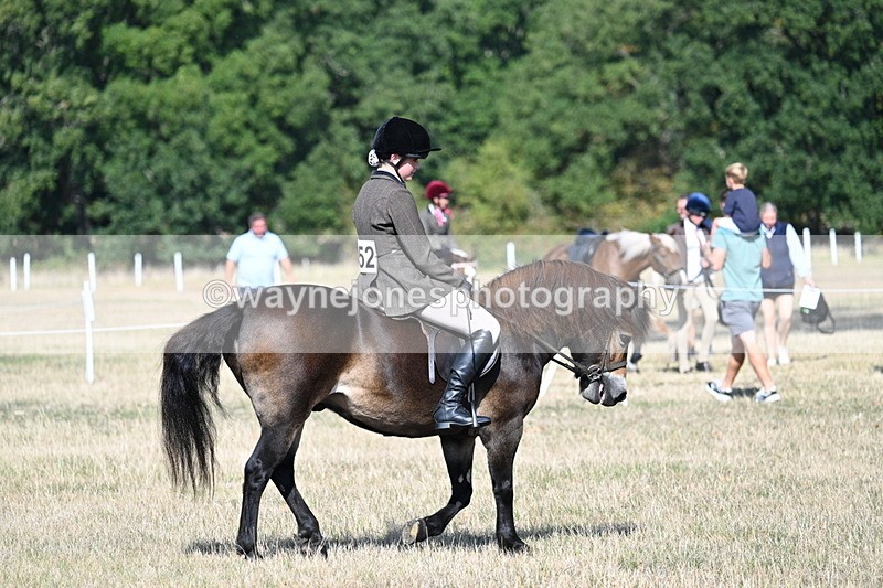 WJ7_2895 - Class 8 Ridden Tack & Turnout