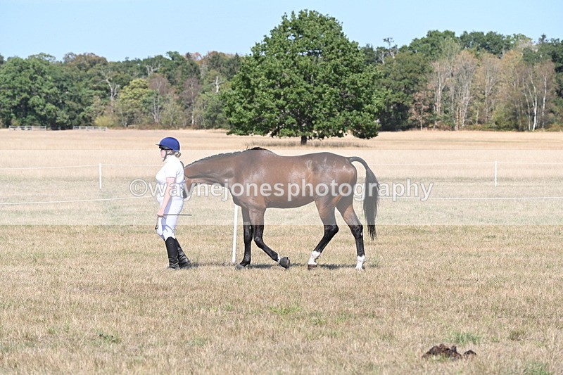 WJ6_9427 - Class 40 Cheekiest Pony/Horse