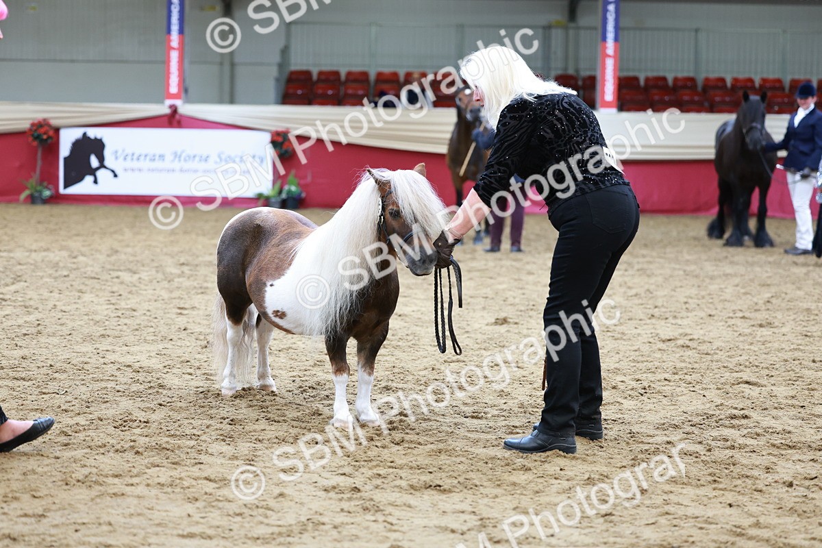 SBM_17336 - Class 951 - M&M IH Supreme Final