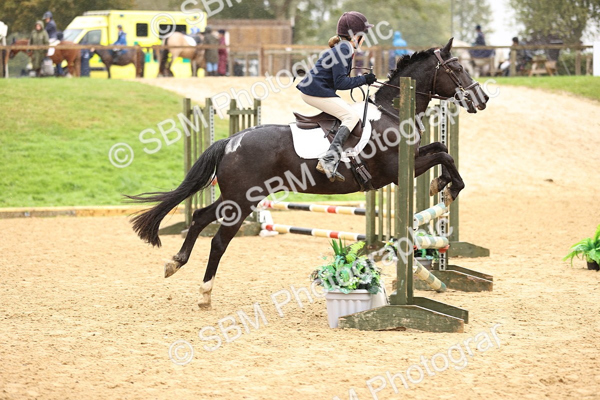SBM_69972 - Supreme Championship 80cm 85cm