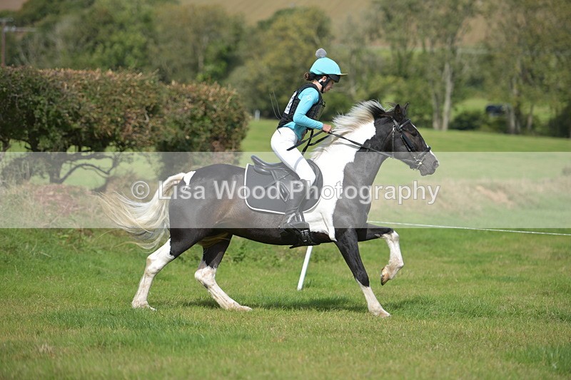 RAY_8648 - Class 2: Trekenning Open: Wall