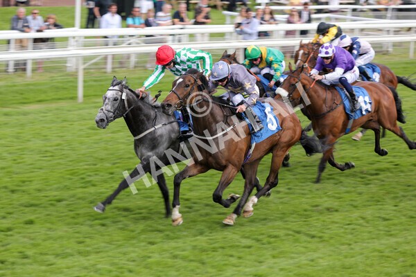 yr11062021r6-22 - Race 6 4.35pm Irish Thoroughbred Marketing Stakes