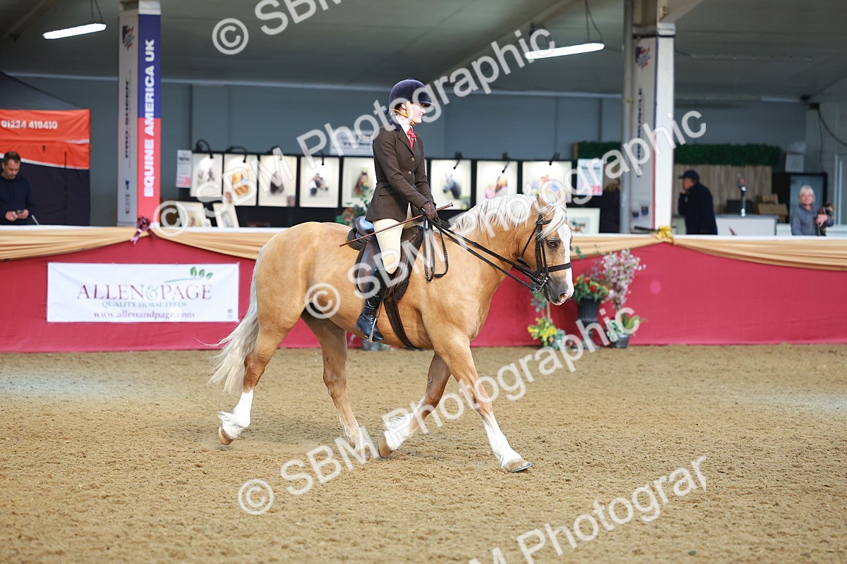 SBM_09485 - Class 102 - HOYS Veteran Qualifier - Ridden Veteran