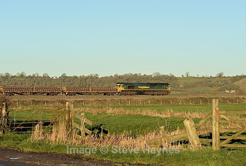 19th Jan 2020 - Curry Rivel (Oathe, Wick), Somerset