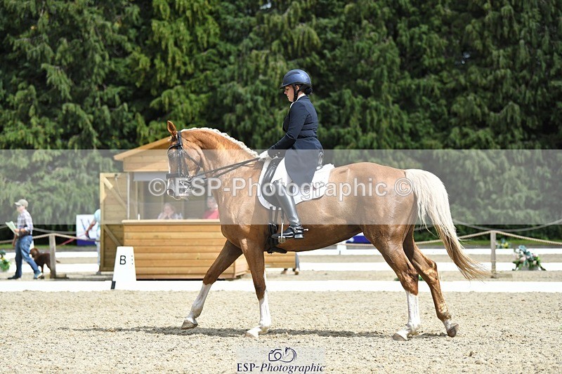 230812-144258-04776 - Cls 7 FEI PSG Bronze