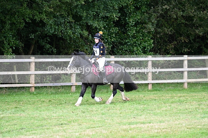 WJ7_8006 - 40cm Time 10:49 to 11:18