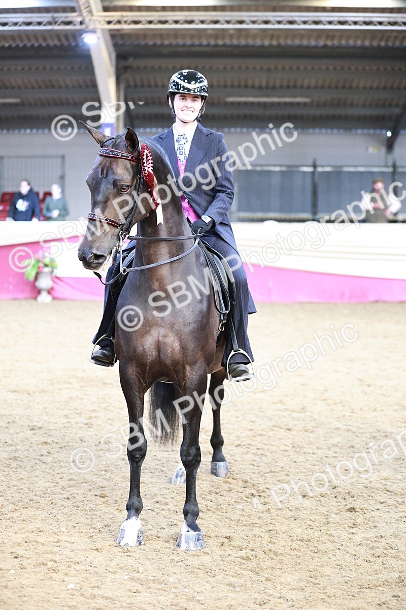 SBM_09149 - Class 12R - Regional Ridden Pre-Vet