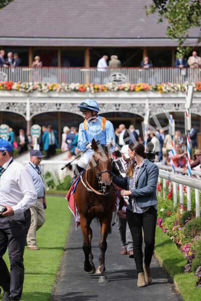 yr18082021r1-81 - Race 1 1.50pm Sky Bet & Symphony Group Stakes