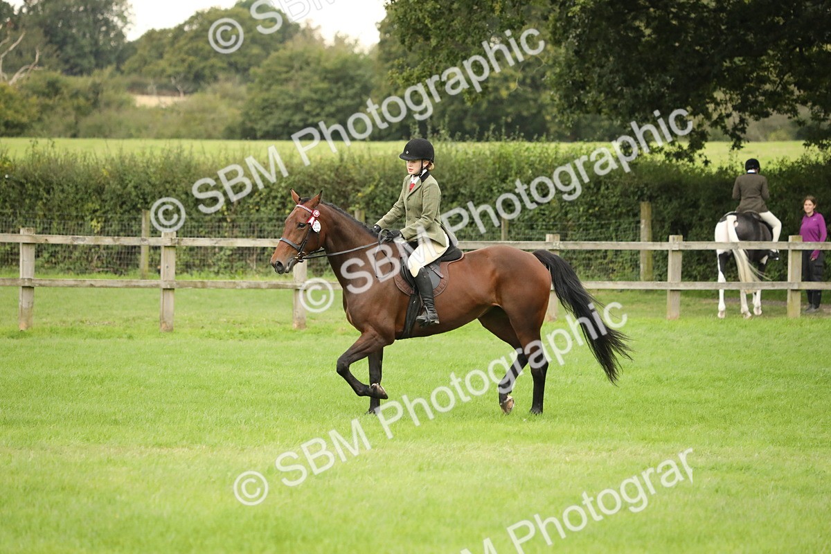 SBM_73717 - S41 - Ridden Equitation (Best Rider)