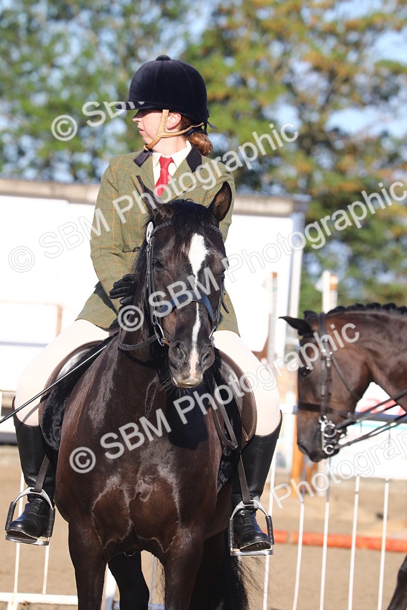 SBM_07881 - Class 501 - Riding Club Pony