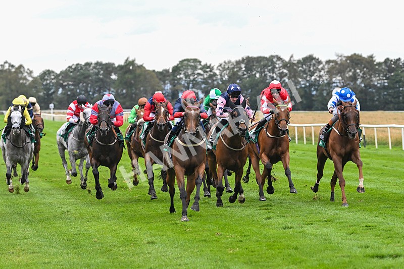 060925-Race 5-Eternal Sunshine-5862 - Race 5