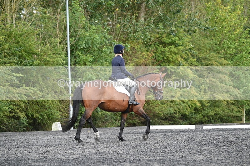 WJ7_7946 - Time 13:40 to 14:00