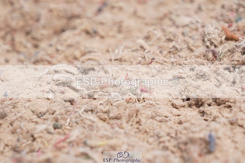 250622-103936-13371 - Cls 52 FreeStyle Elementary Inc Presentations