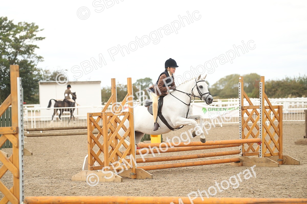 SBM_16736 - Class 507b - Working Veteran 60cm (20+)