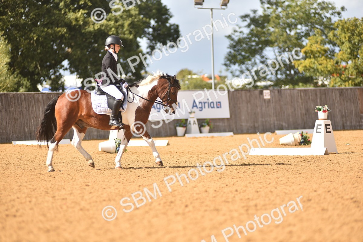 SBM_24247 - D4 - Small Tour Championship Intro 4