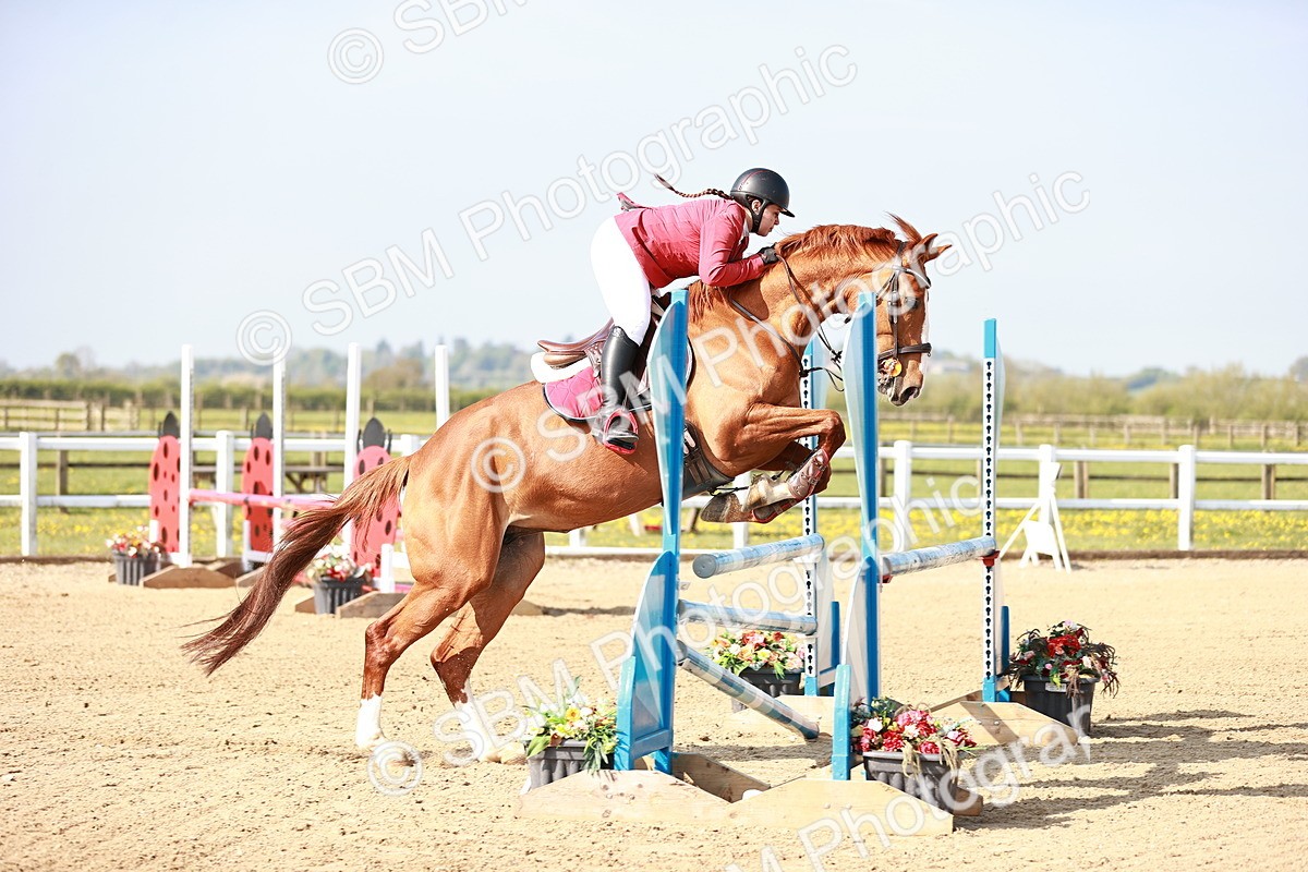  - Class 21 - Senior British Novice - 90cm