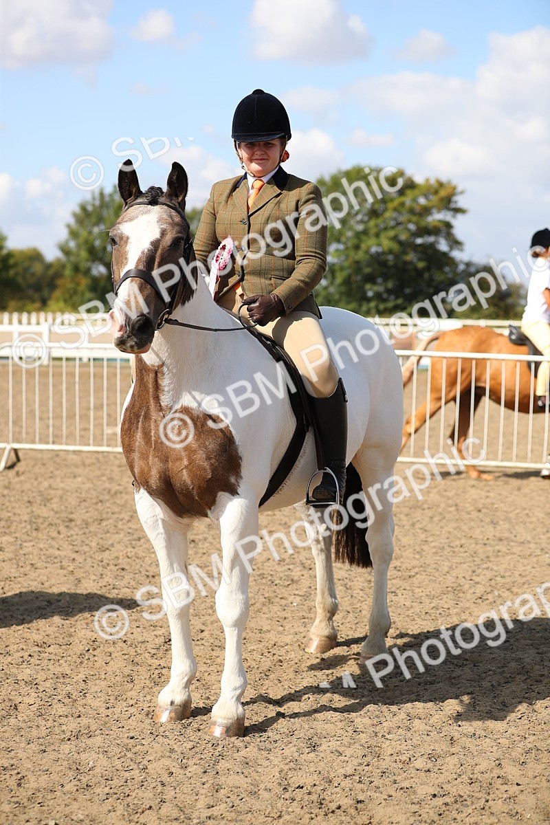 SBM_03291 - Class 44 Riding Club Horse/ Pony
