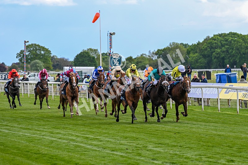 140526-Race 6-Dickensian-5780 - Race 6 4.40pm British Stallion Studs EBF Westow Stakes