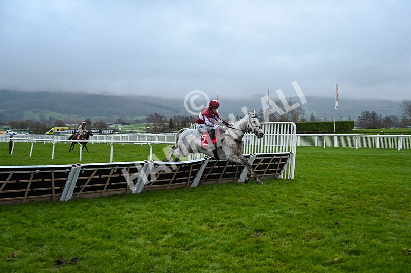 131224-Race 7-An Tailliur-0210 - Race 7