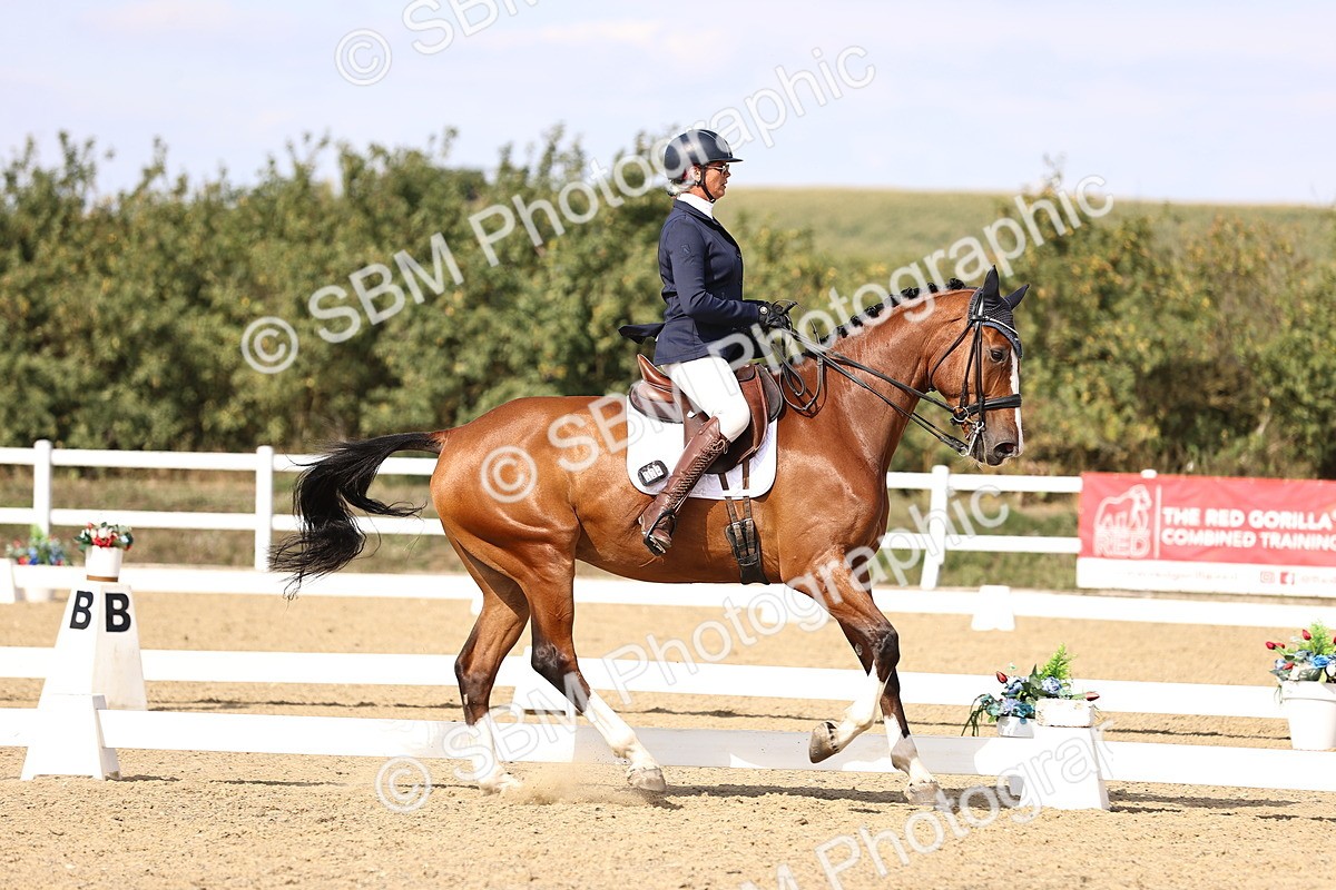 SBM_015210 - Class 8 - Medium 5