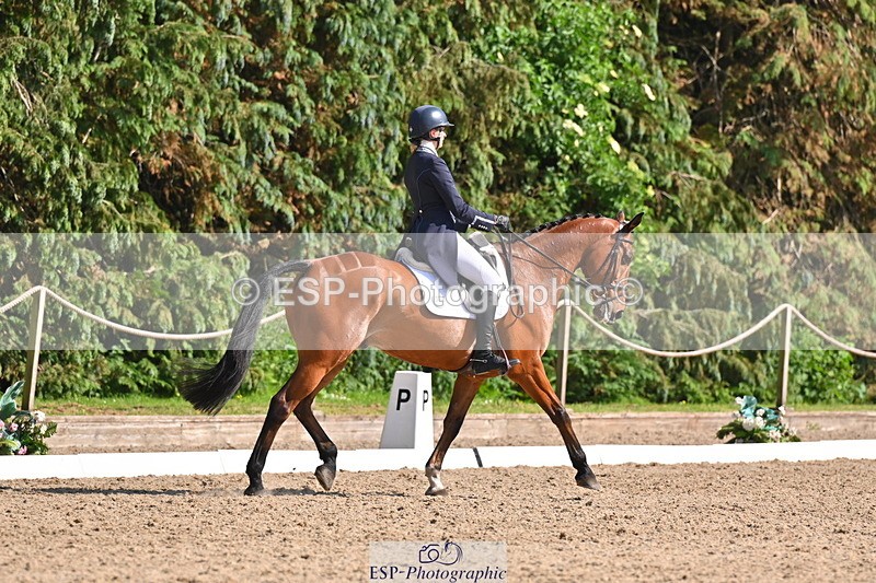 250523A-163233-08083 - B-378-Molly.Brown-KILRUSH.RED