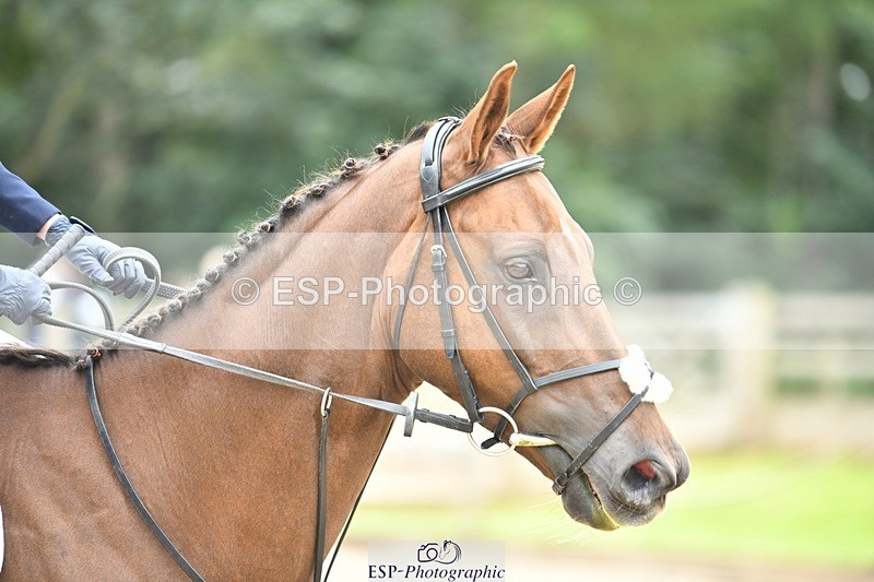 230827-110608-23400 - SJ 10 to 11.30 coursewalk