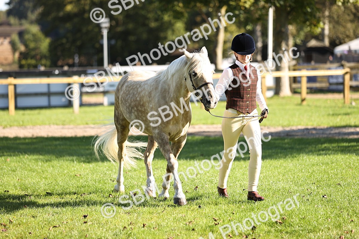 SBM_15899 - S1 - TSR in Hand Horse & Pony Showing