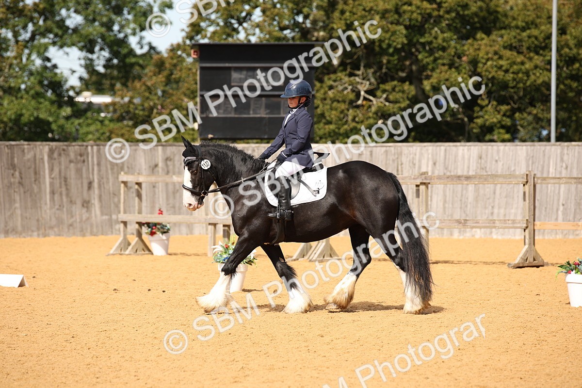SBM_21731 - D5 - Small Tour Championship - Intro C