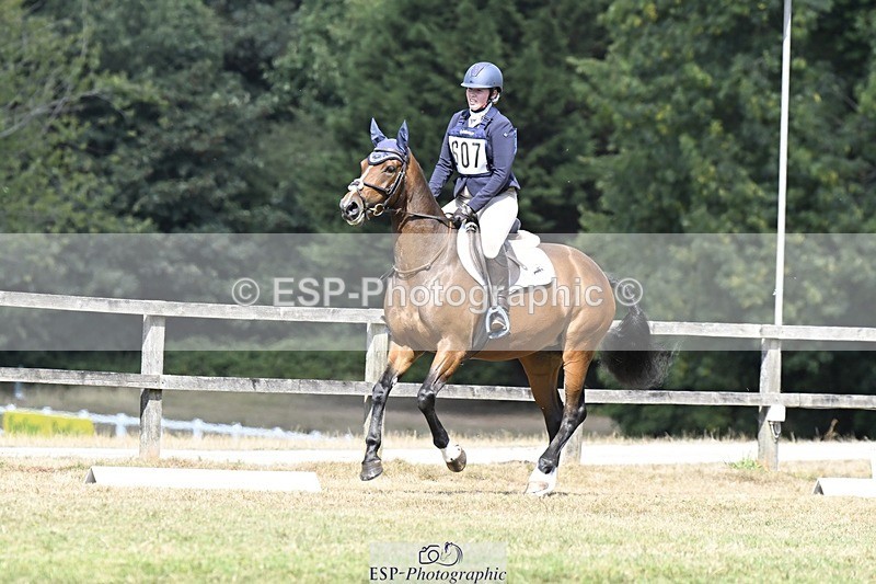 250822A-120023-22520 - DR 11.00 to 12.00