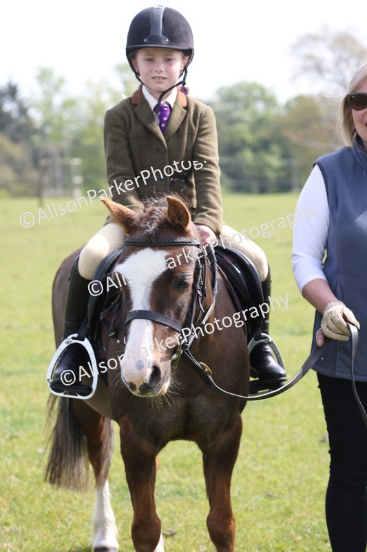 20260426-2478 - Class 31 - Leading Rein