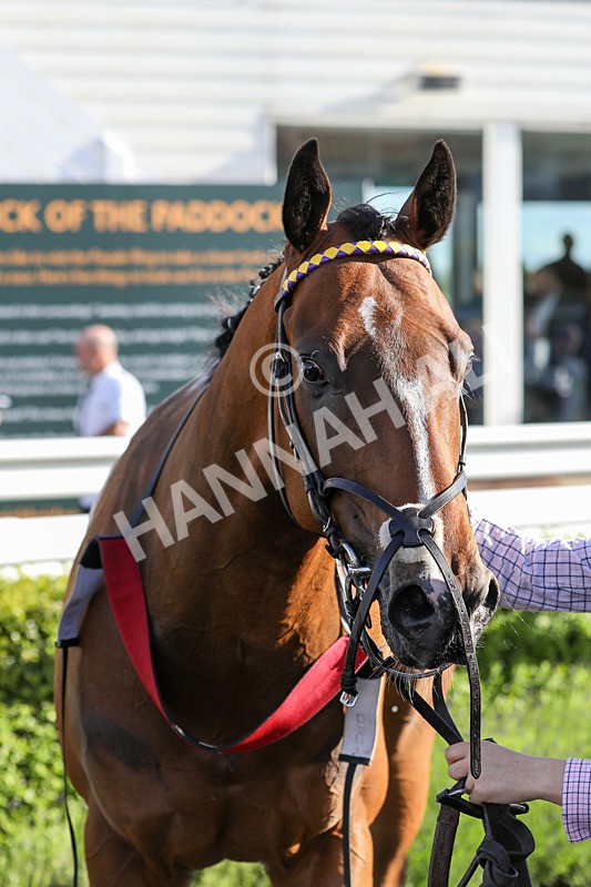 080624-Race 8-Resilience-5224 - Race 8