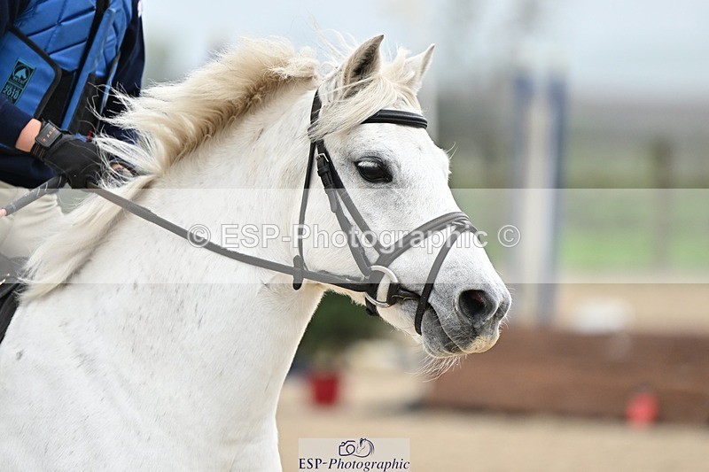 241110-095903-00146 - 40cm Showjumping