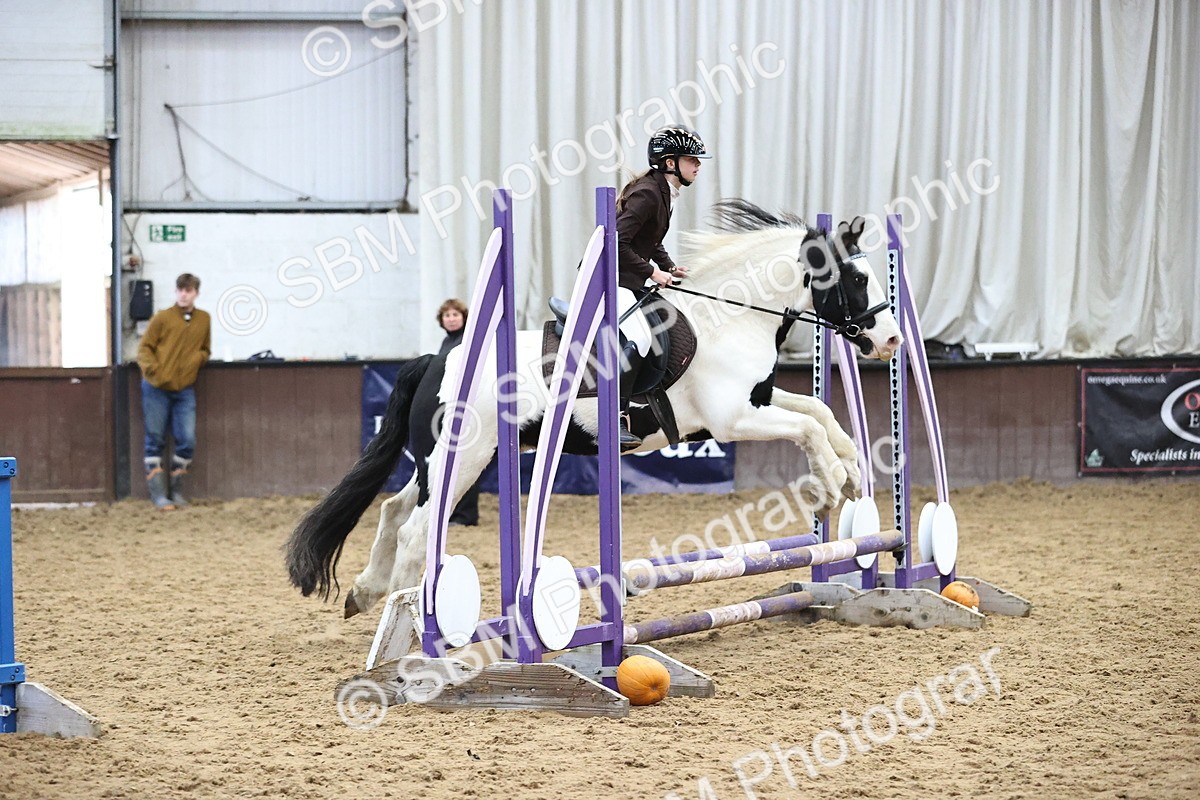 SBM_001189 - Class 3 - Horse & Hound 60cm