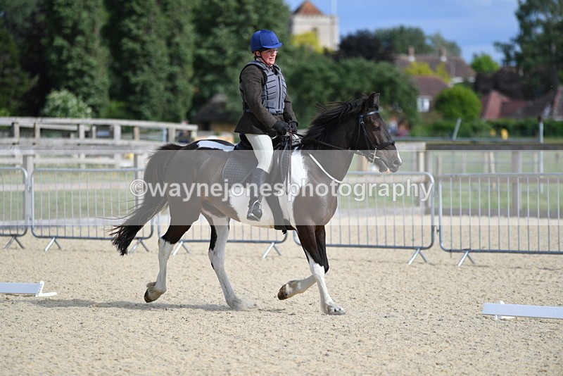 WJ5_7866 - Time 16:56 to 17:14