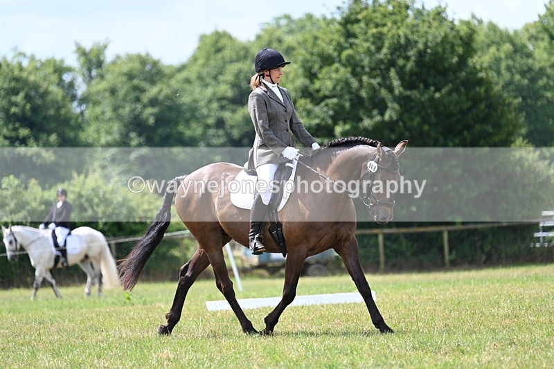 WJ7_4804 - Time 11:22 to 11:51