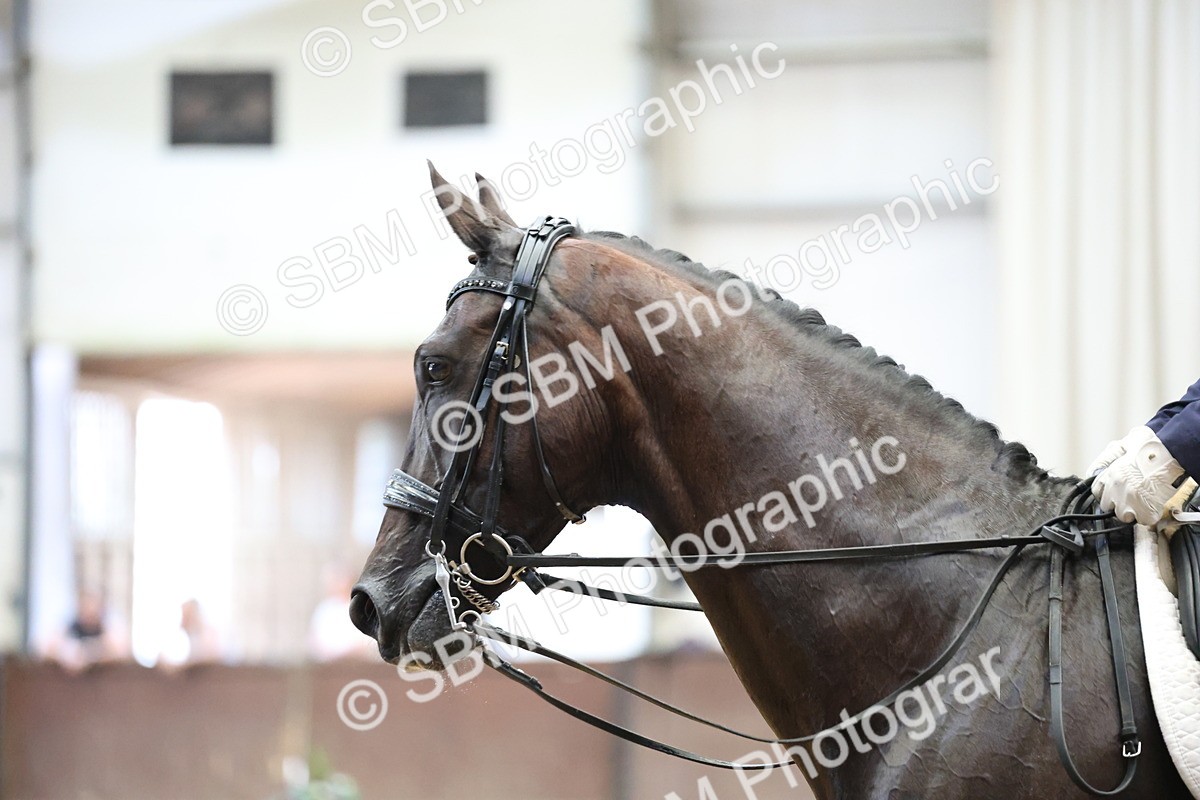 SBM_004320 - Class 9 - FEI Inter 1 Gold - 15.55-16.43