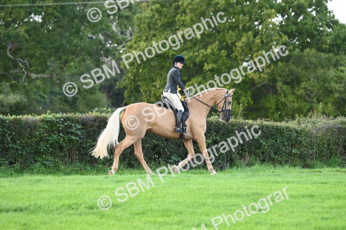 SBM_26528 - S6 - Novice & newcomer Ridden horse