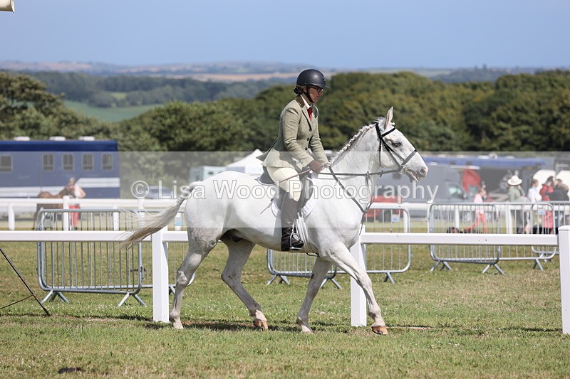 JPP_2252 - Class 19: Working Hunter 60cm