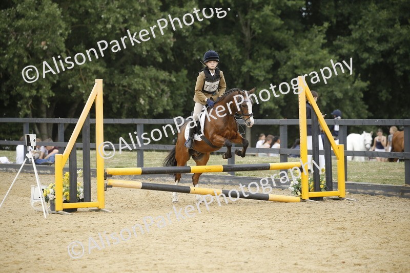 20250622-6271 - 60cm