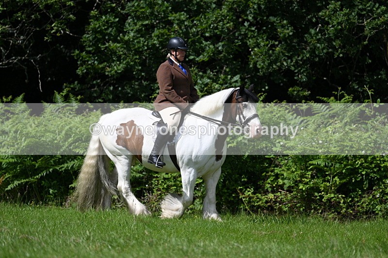 WJ7_1521 - Class 11 Condition & Turnout