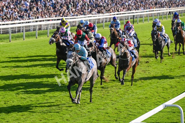 111025-Race 4-Binhareer-8822 - Race 4 Coral Sprint Trophy Handicap at York